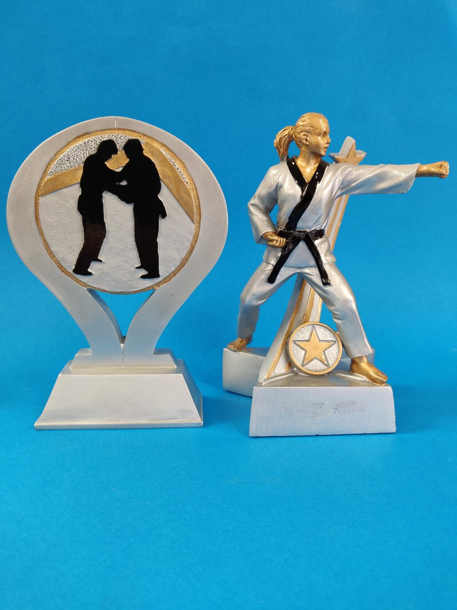 Latest offer! Any single item (pictured) £5, Any 2 items £8.50, 3+ £4 each! Self defence awards. Get them while you can.