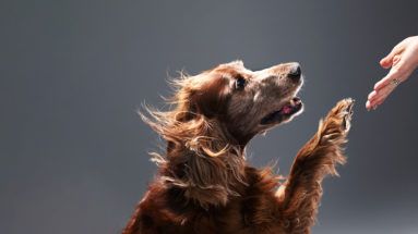 ValPapilon's tweet image. Great Leaders Understand Why Small Gestures Matter buff.ly/30fvxTv