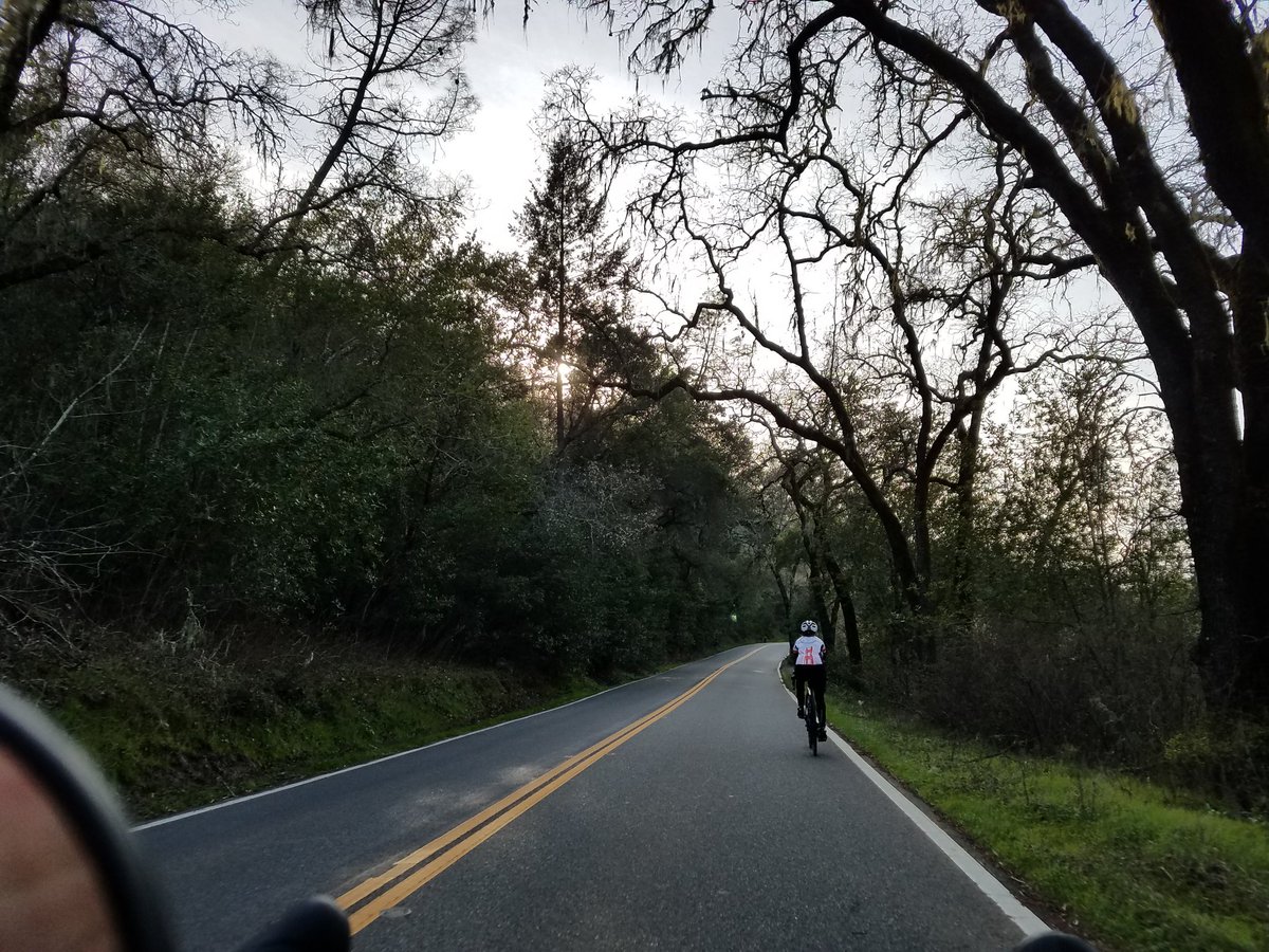 AbramClark's tweet photo. Wintertime Napa is quite lush #CruzBikeTribe https://t.co/5jLSHEOb63