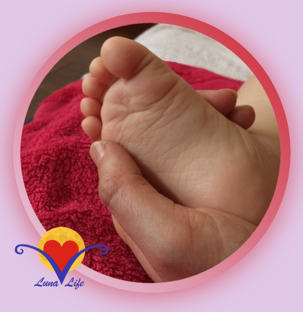 LunaLife's tweet photo. Voetjes! #Baby’s zijn er dol op 👣😍Vanmiddag mocht ik een #mama leren om haar baby’s voeten te masseren. Kindje lag er zo vrolijk bij te kirren 😃 https://t.co/q2CyEHRc7C

Zelf #babymassage leren? https://t.co/5X0NeuW31g
⠀
#shantala #voetmassage #voetreflexologie #kraamcadeau https://t.co/IEp2PsXD42