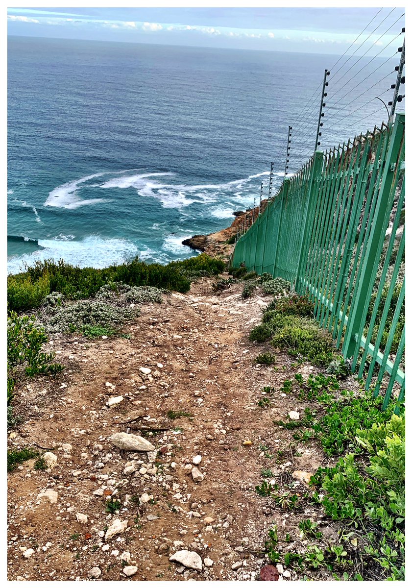 2runmosselbay's tweet photo. A steep trail near the MB Golf Estate...lovely views though! #MosselBay #trailrunning https://t.co/YgxvuAGcZN
