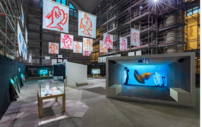 Amanda Wilkinson tweet media