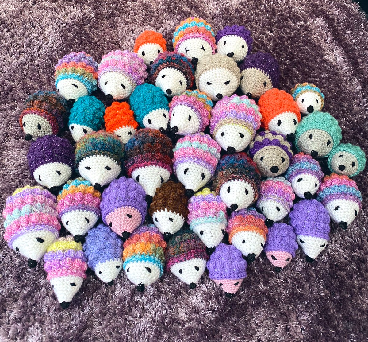 @CamHedgehogs Can do lots of different colours & sizes if you or anyone else would like them ☺️🦔#hedgehogs #savethehedgehogs #charity