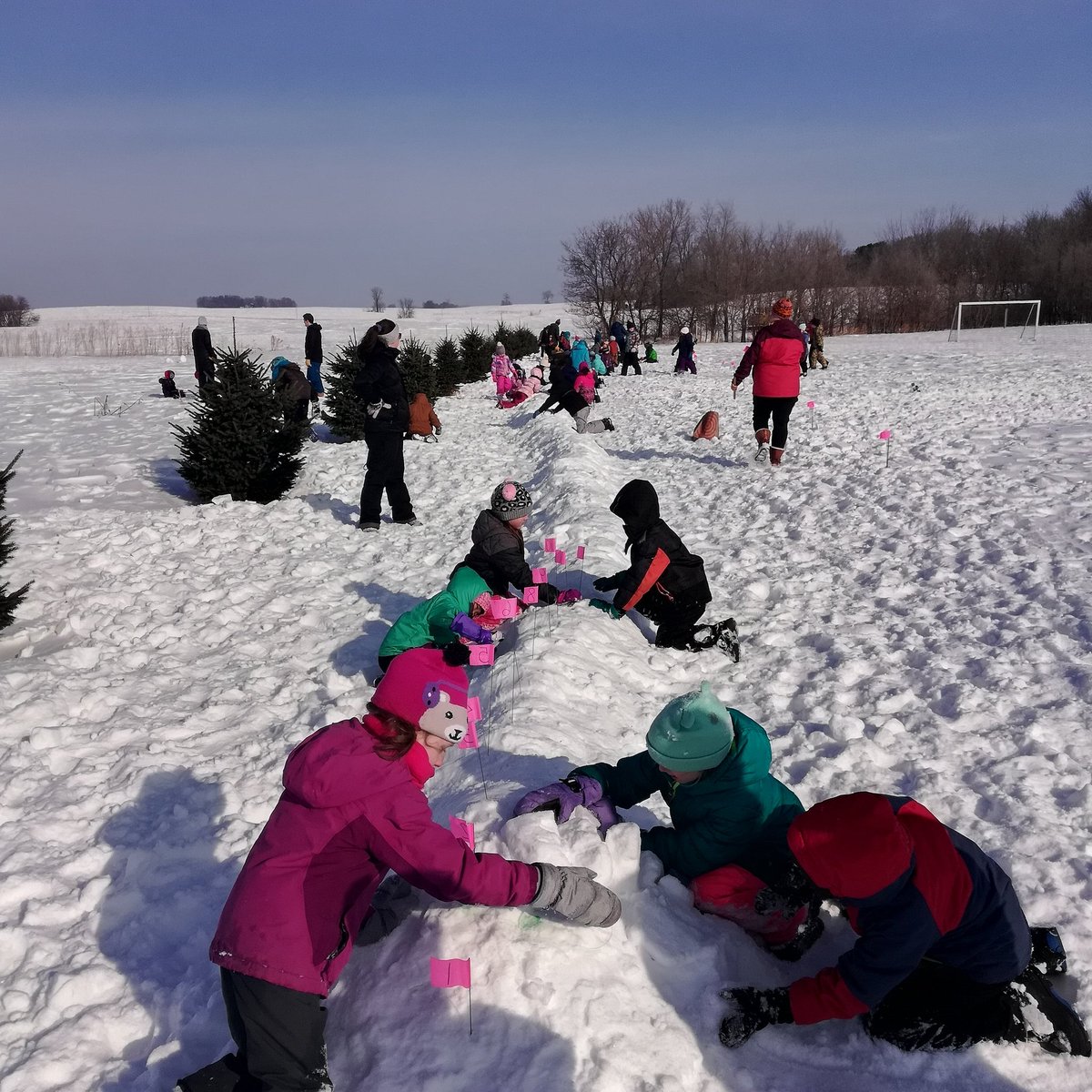 The K/1 children are creating a one hundred foot long snow snake to celebrate the 100th day of school!