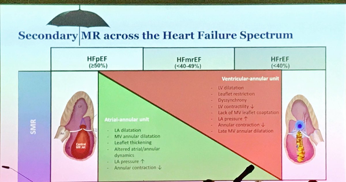 KardiologieWien's tweet photo. Prof @ggoliasch from @MedUni_Wien on secondary mitral regurgitation at #C3Congress:

It is common, it has an impact on outcomes, however diagnostic challenges remain.

#CardioEd #Cardiotwitter 

1/2 https://t.co/nFPXnGp5kv