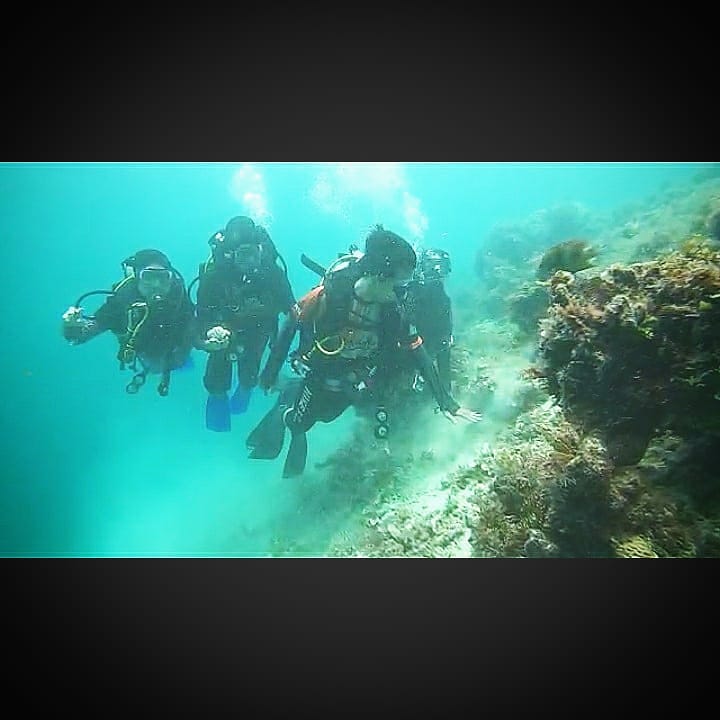 Proses pertama sebelum  menuju penyelaman  di berbagai laut indonesia
#arkadiadiver #neverdivealone #diving #pulaupramuka #pramukaisland #pulauseribu