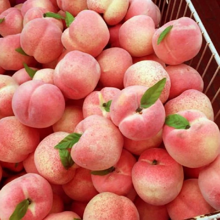 Drawreference1's tweet image. 🍑ᴘᴇᴀᴄʜʏ🍑