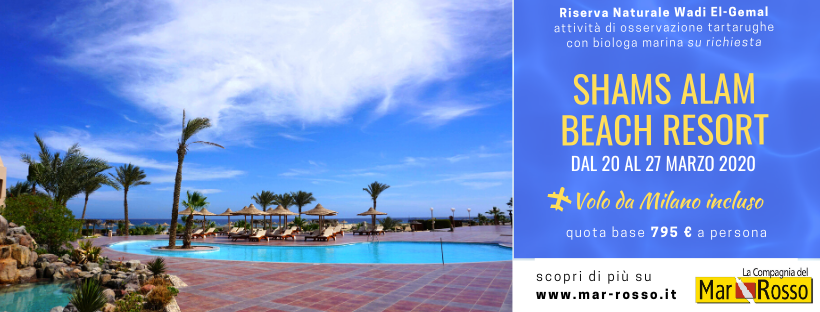 CompMarRosso's tweet photo. SOGGIORNO SHAMS ALAM 🇪🇬
Volo + 7 notti All Inclusive in Camera Doppia
📆 Partenza 20-27 Marzo 2020

Lo Shams Alam possiede tre punti per accedere direttamente al mare ed alla stupenda barriera corallina.

📍 PRENOTA SUBITO
https://t.co/sFjY7rWUOG https://t.co/dBh1uOWNZi
