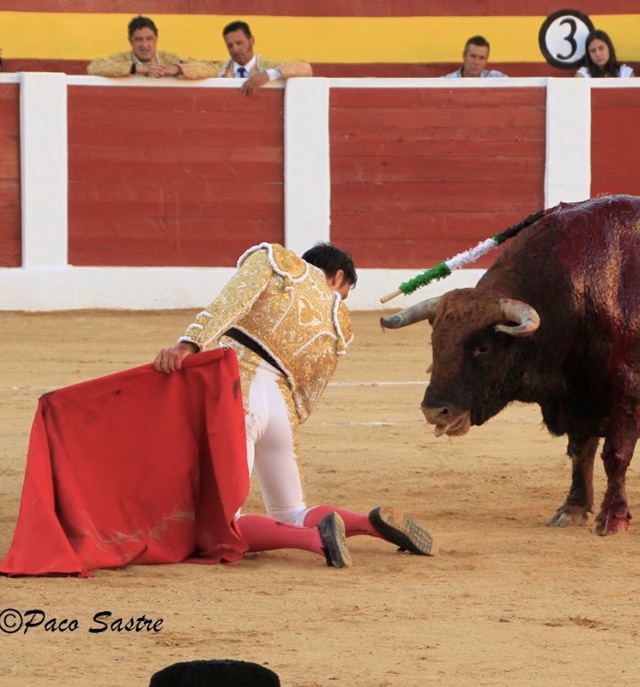 burladerotv's tweet image. ACTUALIDAD.- Filiberto apoderado por José Luis Seseña @FilibertoMtnez #JoseLuisSeseña @RogelioBurnao    #Apoderamientos     burladero.tv/actualidad/202…