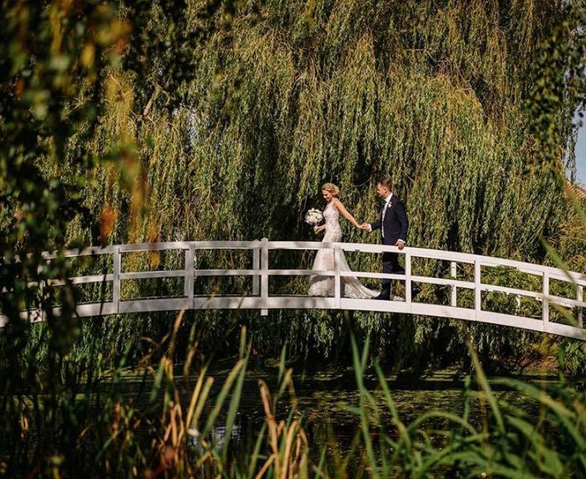 Bridebook tweet media