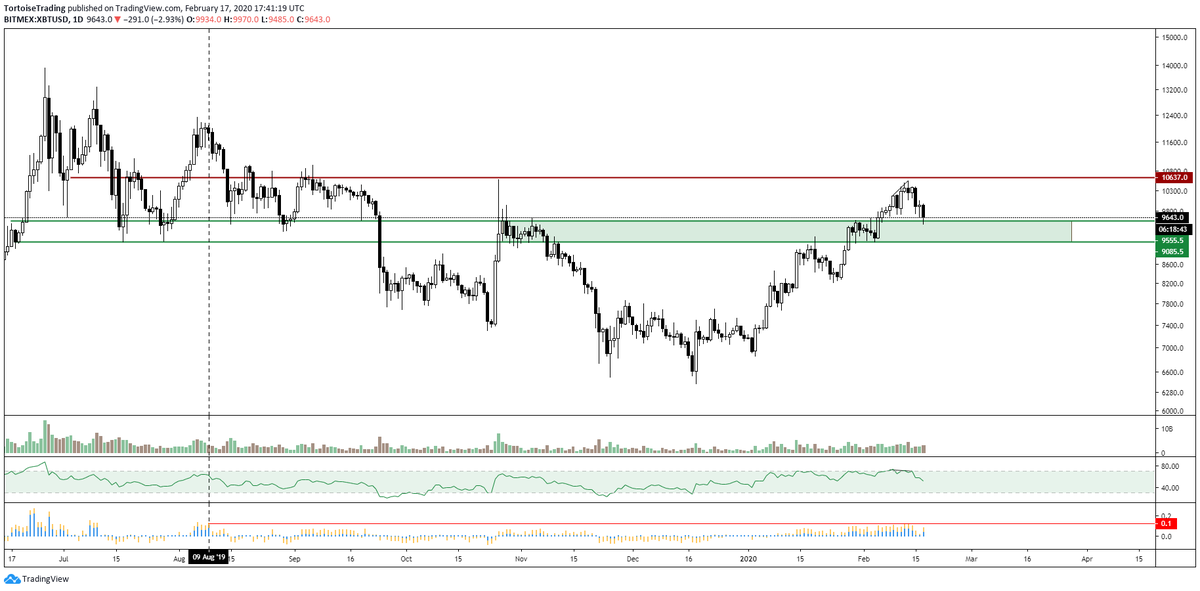 TortoiseTrading tweet media