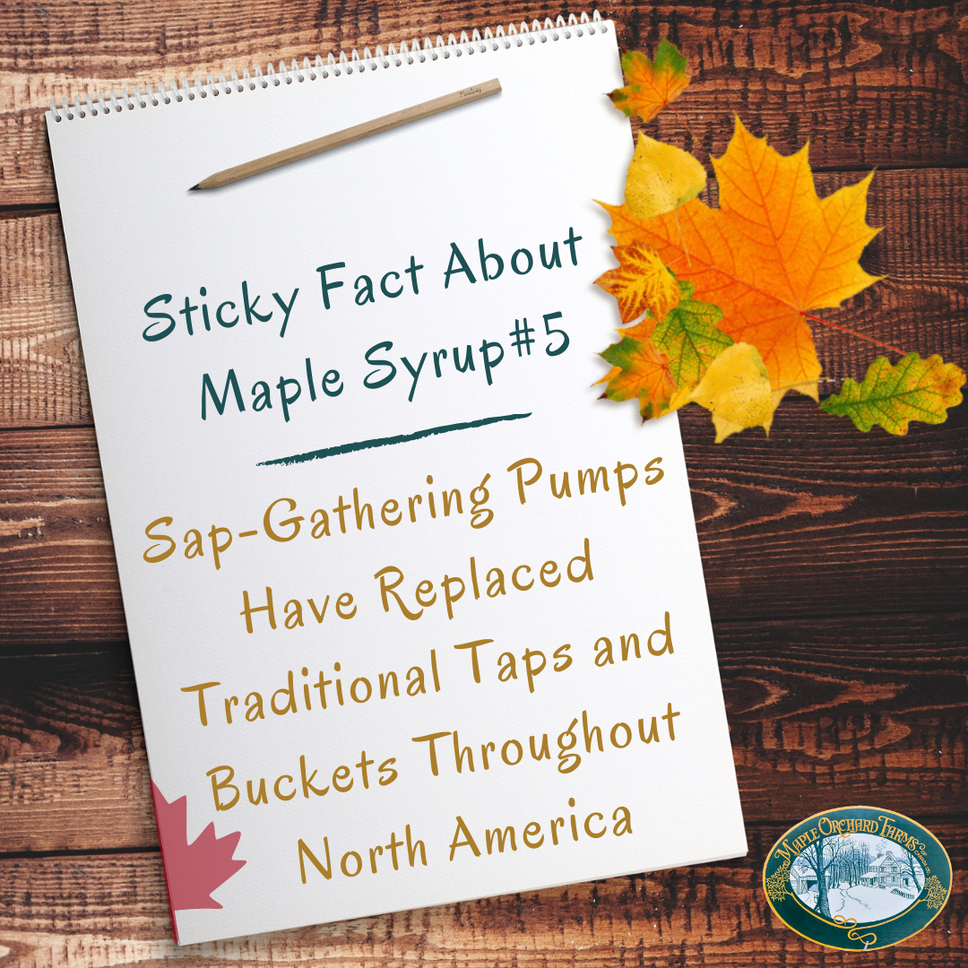 maple_orchard's tweet photo. 🍁 Sap-gathering pumps, all the way... #maple #autumn #woodworking #handmade #canada #maplesyrup #mapleleaf #sticky #bracebridge #foodie #leaves  #autumnleaves #pancakes #canadian #instafood #funfact #sweettooth https://t.co/mqfVkDBRoA
