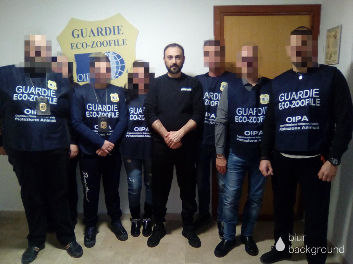 MaxSciarabba's tweet photo. affidarsi ad un sistema sicuro .
SDP - Sistema di Difesa Personale
MAESTRO Massimo Ghilardi
KUBOTAN ITALIA
S.D.P. POLICE TRAINING https://t.co/DYm0LGrOGp