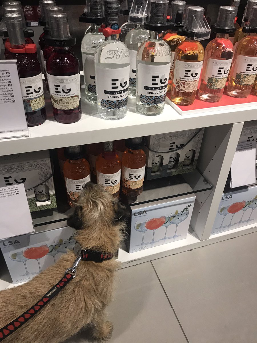 Where else to take birthday girl Nell .... 8 today &amp; celebrating with a trip to #JohnLewis #York with a look at the gin #btposse