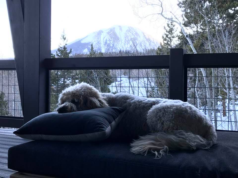 raventhreepeaks's tweet photo. Take a moment to relax 😊 (via Carl Canter) https://t.co/7Fq5mfur0k