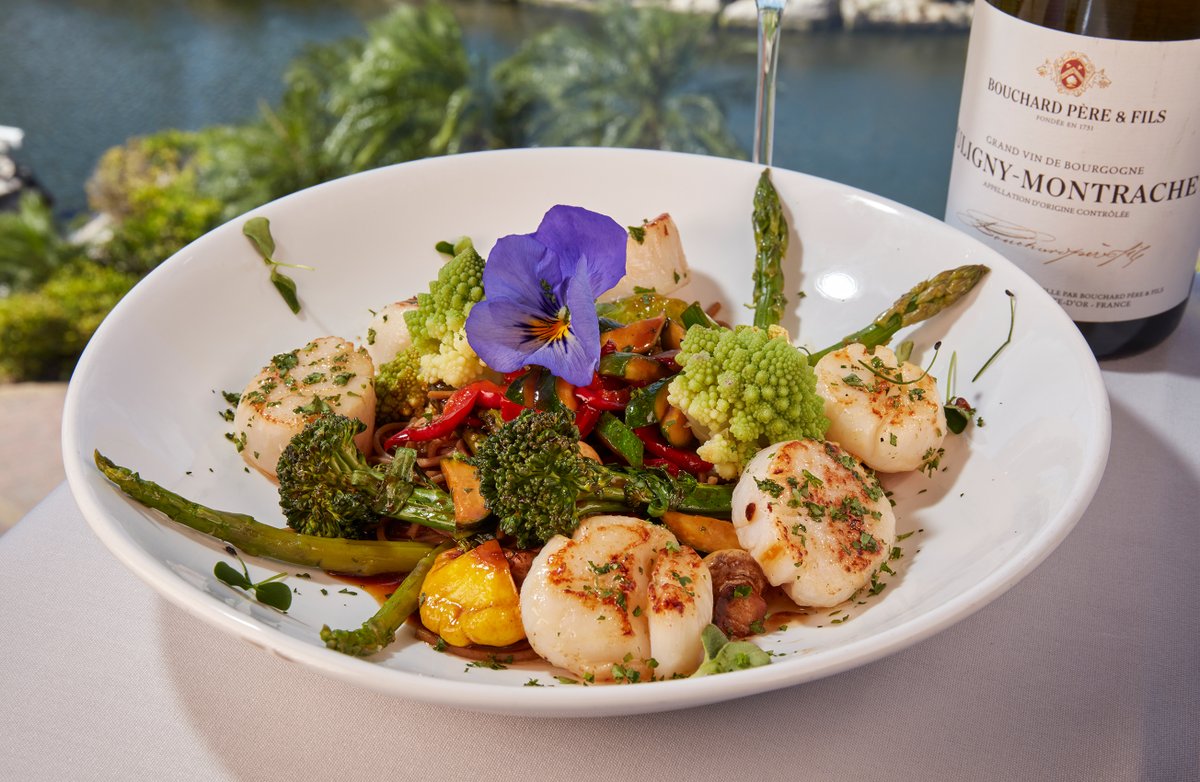 DiviResorts's tweet photo. Craving this jumbo scallops dish from Windows on Aruba! 😍 Pan seared scallops Provençale with⁣ spinach risotto, asparagus &amp; parmesan tuille.🤤 Don't forget we have an amazing 3-course tasting menu for only $55/person! ⁣
#windowsonaruba #seafood #aruba #scallops #3coursedinner https://t.co/VaOsGyaFVX