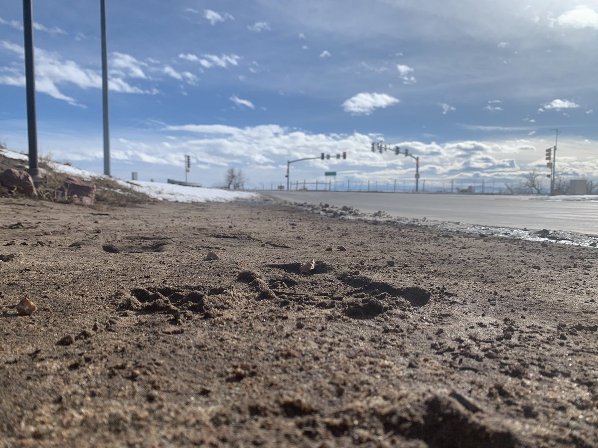 Russ Ptacek 🎧 tweet media