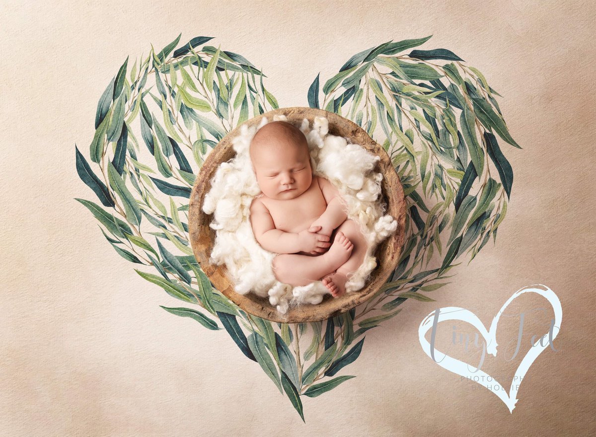 TinyFeet Photography (@tinyfeethollie) on Twitter photo 