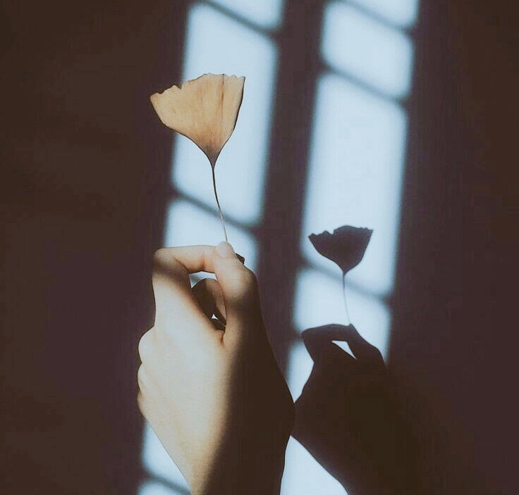 //:Pythagoras•PT.คัมเเบคเเล้วครับ tweet media