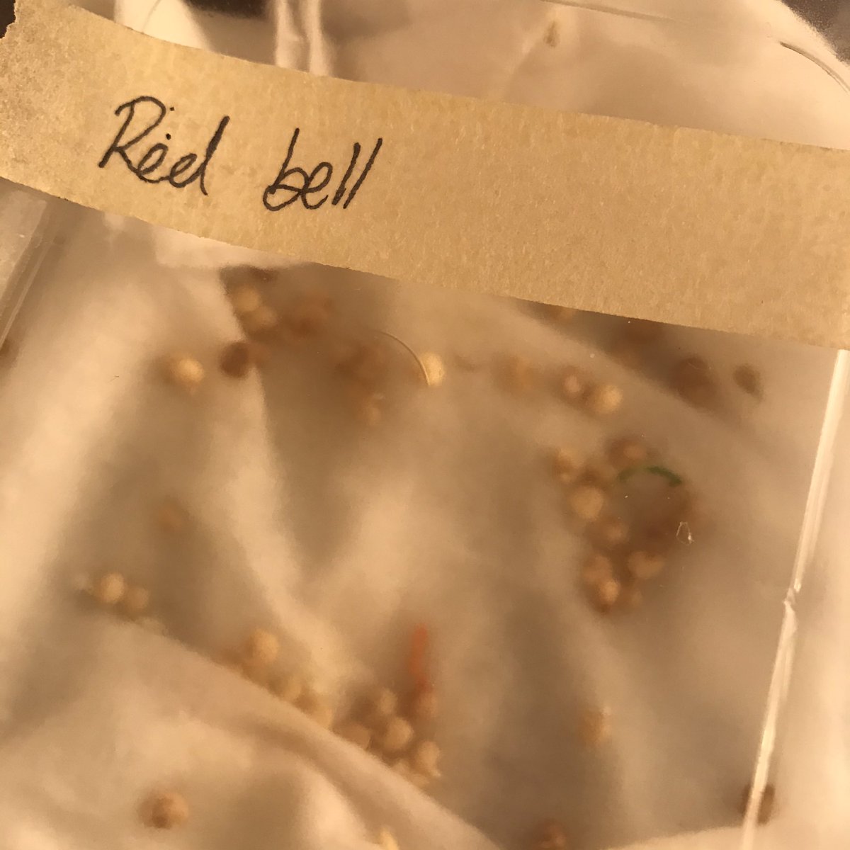 TheSpice0fLife's tweet photo. It’s that time again. 🙂 #grow #seedstarting #greenthumbs #gardening #farming #cantaloupe #cucumber #tomato #bellpeppers #veggies #blackgirlswhogarden #blackgardeners #seeds #foody #gardentoplate #culture #agriculture #foodie #wineanddinewithme #thespiceoflife #thespice0flife https://t.co/JlDCpSmIPv