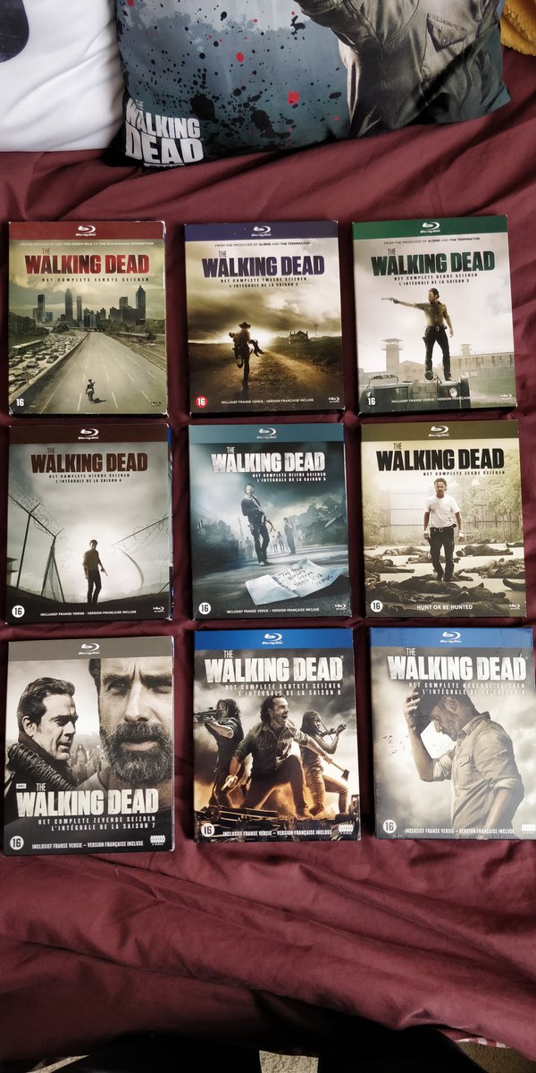 Davincstyle's tweet photo. Seizoen 9 besteld! Langer dan 10 jaar al groot fan van deze serie. Eind deze maand kunnen we genieten van laatste 8 afleveringen van het seizoen! #WalkingDead #foxnl @foxNL https://t.co/mdfYpC64bf