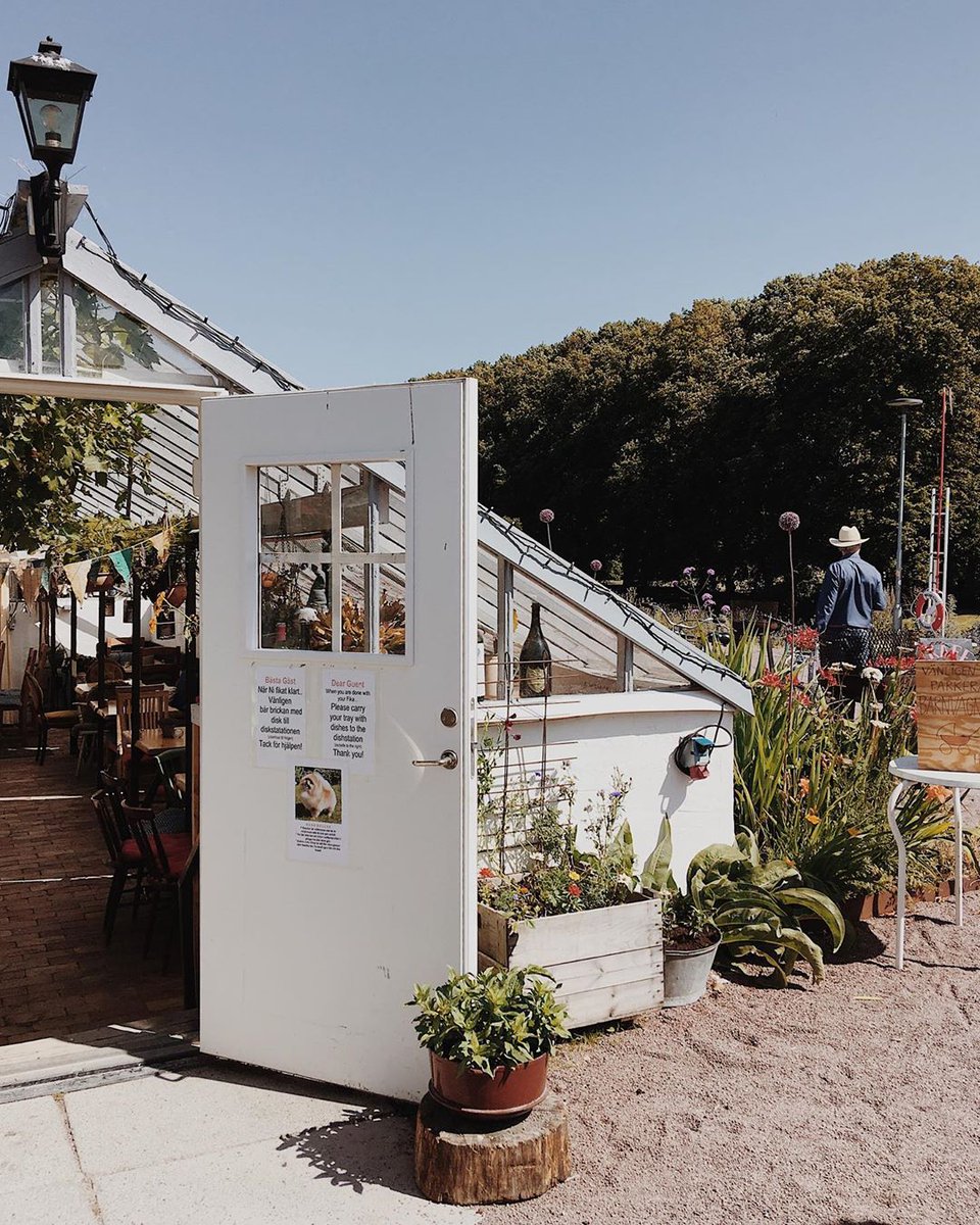 Yes, we're aware that this photo might make you miss summer, but we're posting it anyway 😎☀ Photo by milicija_