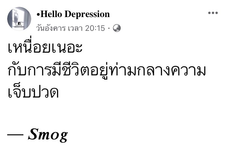 𝑺 𝒎 𝒐 𝒈 tweet media