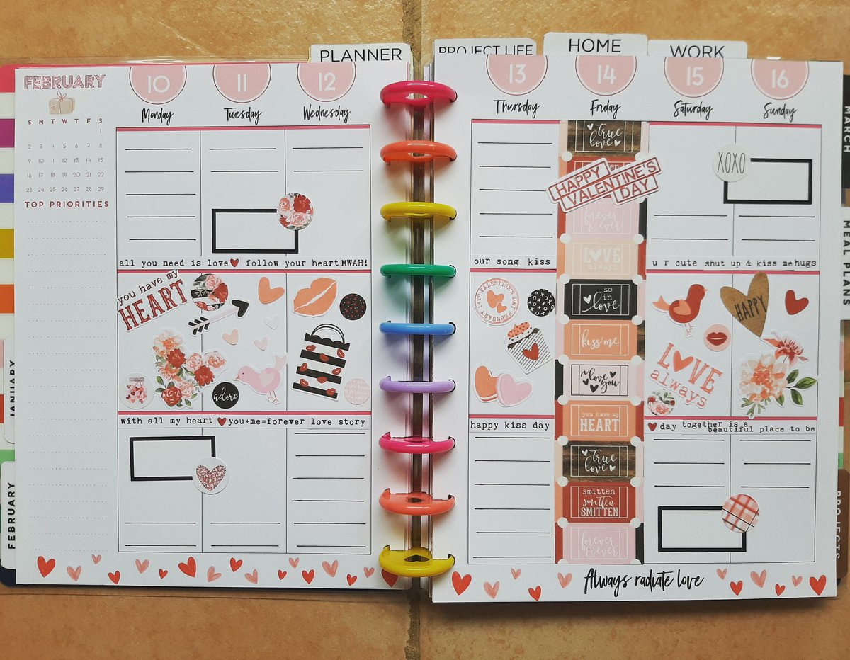 My week! #thehappyplanner #beforethepen #plannergirl #plannernerd #plannerdecoration #valentinesday #stickers