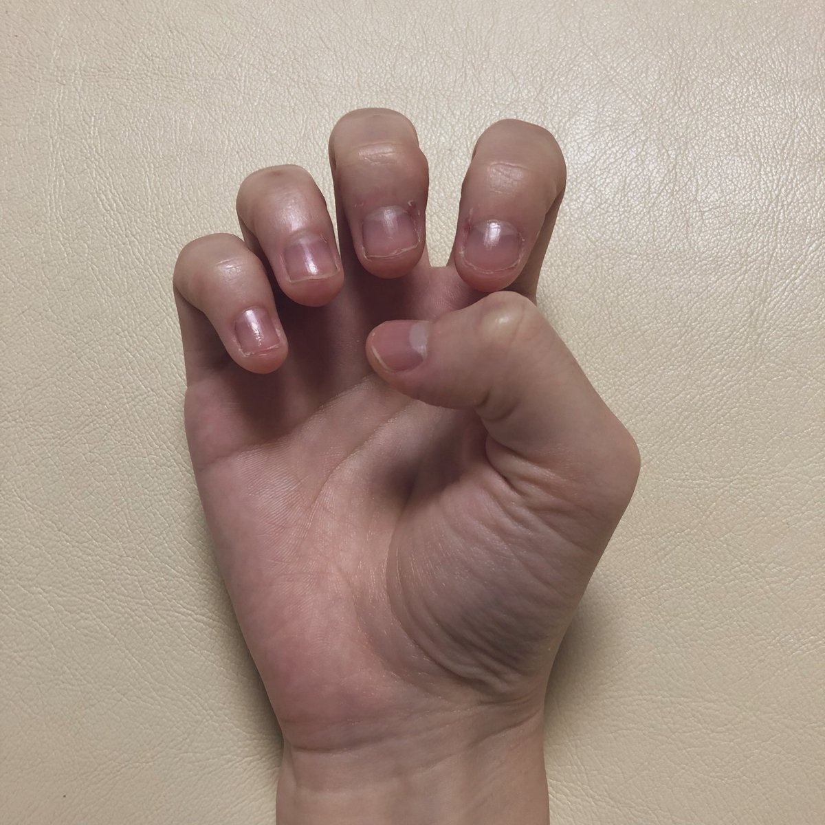 だいふく Kireinatsumeni Twitter
