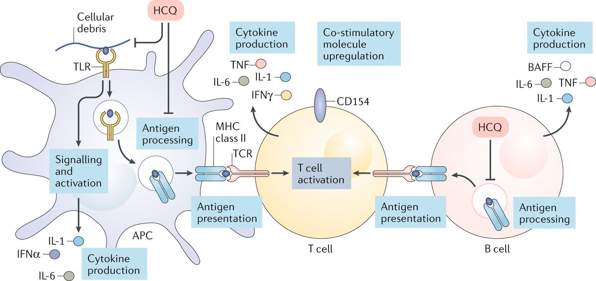 NatRevRheumatol tweet picture