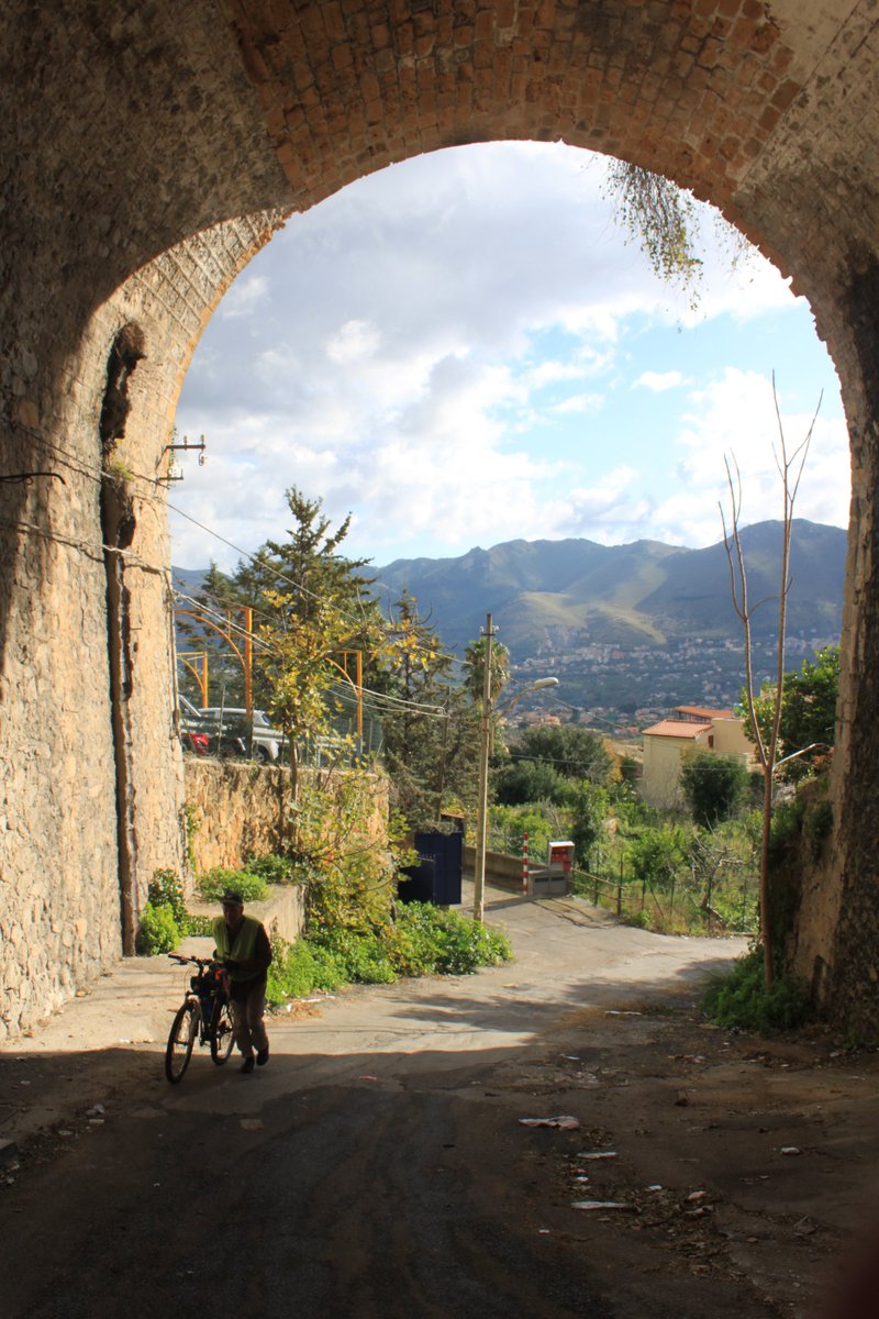 Cycling in #Sicily: cured by art and nature! New post on #Italiaslowtour by Alexander Karnachov: discover the great Valley of Noto – #UNESCO world's heritage site – by bike 
👉 italiaslowtour.com/cycling-in-sic…