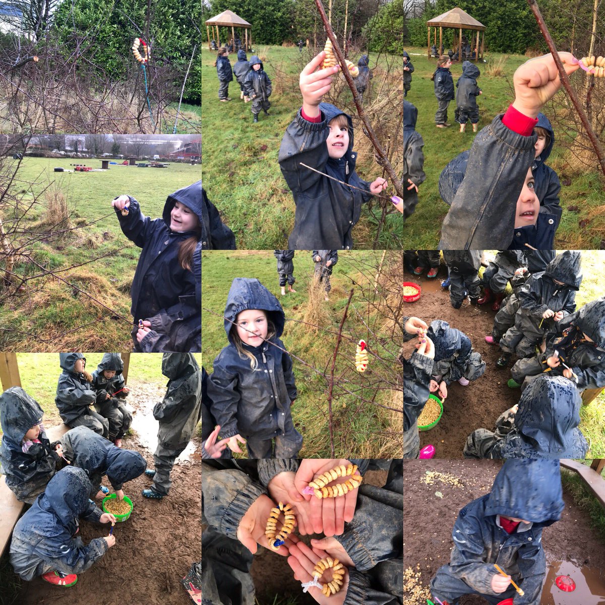 Keeping the birds at Blaenycwm happy! Dosbarth Coch made birdfeeders and looked for birds 👀! Pipe cleaners are an eco friendly approach and can be reused 👍🏼#BigSchoolsBirdwatch @Natures_Voice @RSPB_Learning #reducereuserecycle ♻️ @EcoSchoolsWales