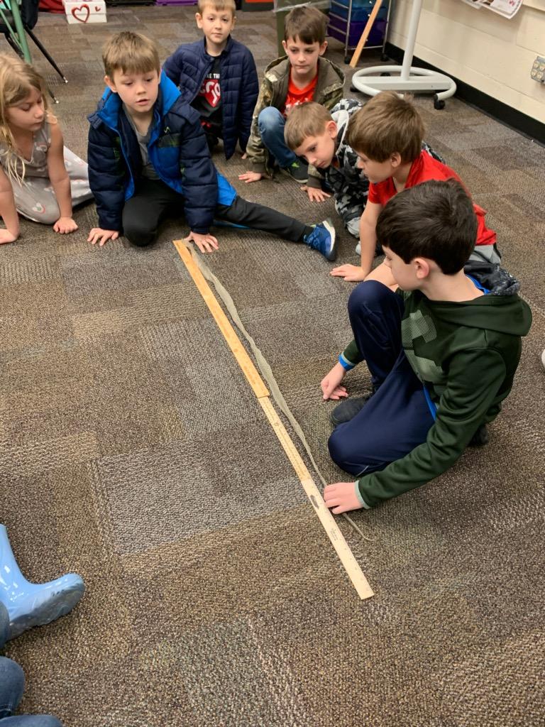 Real Life Math:
Brantley brought in a Black Snake skin and Mrs. Bentley's class measured it to be 4ft 9 inches!!!!!! 
#Morethanaworksheet