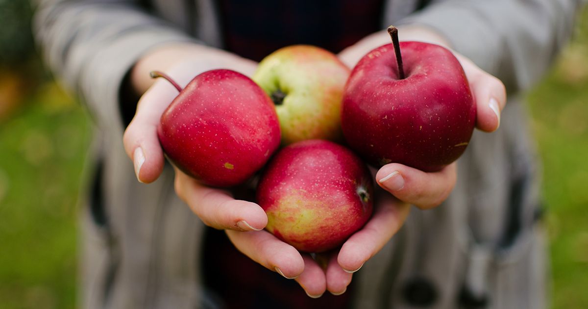 PlancichDental's tweet photo. An apple a day keeps your dentist proud! Did you know eating apples can help clean teeth and fight bad breath? #OralHealth #IntegratedDentistry https://t.co/v6cIFr2Rud