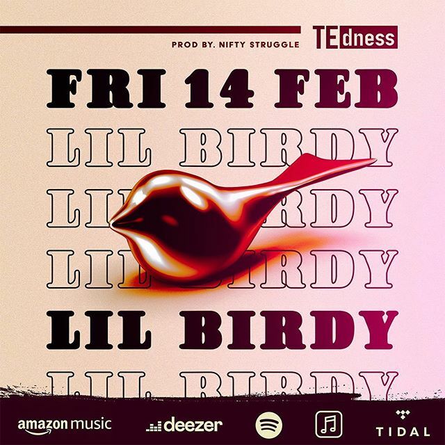 nifty_struggle's tweet photo. wait until you hear this one 🔥 🔥 🔥Lil Birdy - @te_dness drops this Friday! https://t.co/nvLN5N7OVy https://t.co/UiZvRYRdFJ