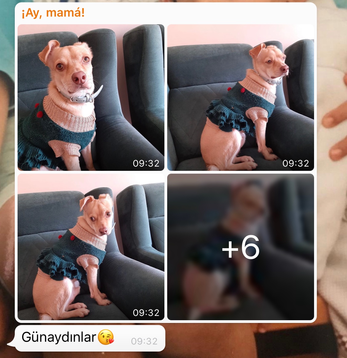Kopekli gunaydin fotografi miii
Annnemmm ne durumlara düştün annemm❤️