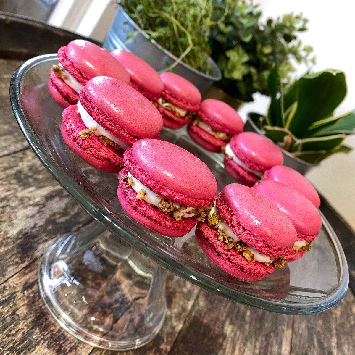 These homemade Beetroot &amp; Goats Cheese Macaroons with Candied Pecans will be showcased at the <a href="/powderhamcastle/">Powderham Castle</a> Wedding Fair on Sunday 1st March (ENTRY IS FREE!) We look forward to seeing you there #weddingfair #poshnoshdevon #weddingcatering #tasting #foodie #foodporn #canapes