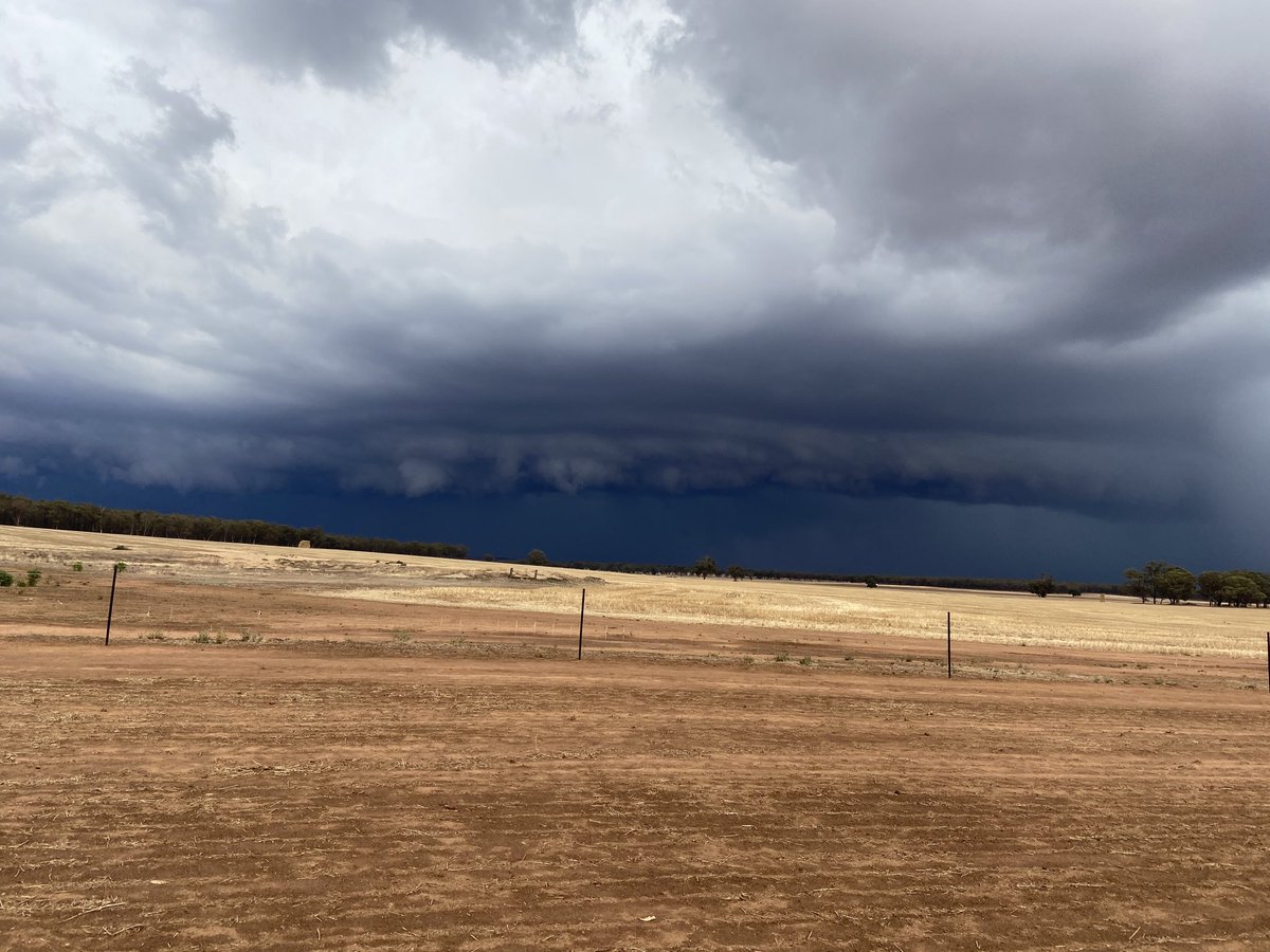 brendon_mcc's tweet photo. Finally copped one! This one seems as though it wasn’t all show... hopefully measure once water recedes over roads https://t.co/xyjjFIQcsk
