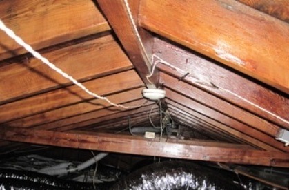 Mold can penetrate deep into wooden surfaces and sometimes cannot be removed. Here is when encapsulating mold is appropriate, how to do it, products to use..... mold-answers.com/encapsulating-…