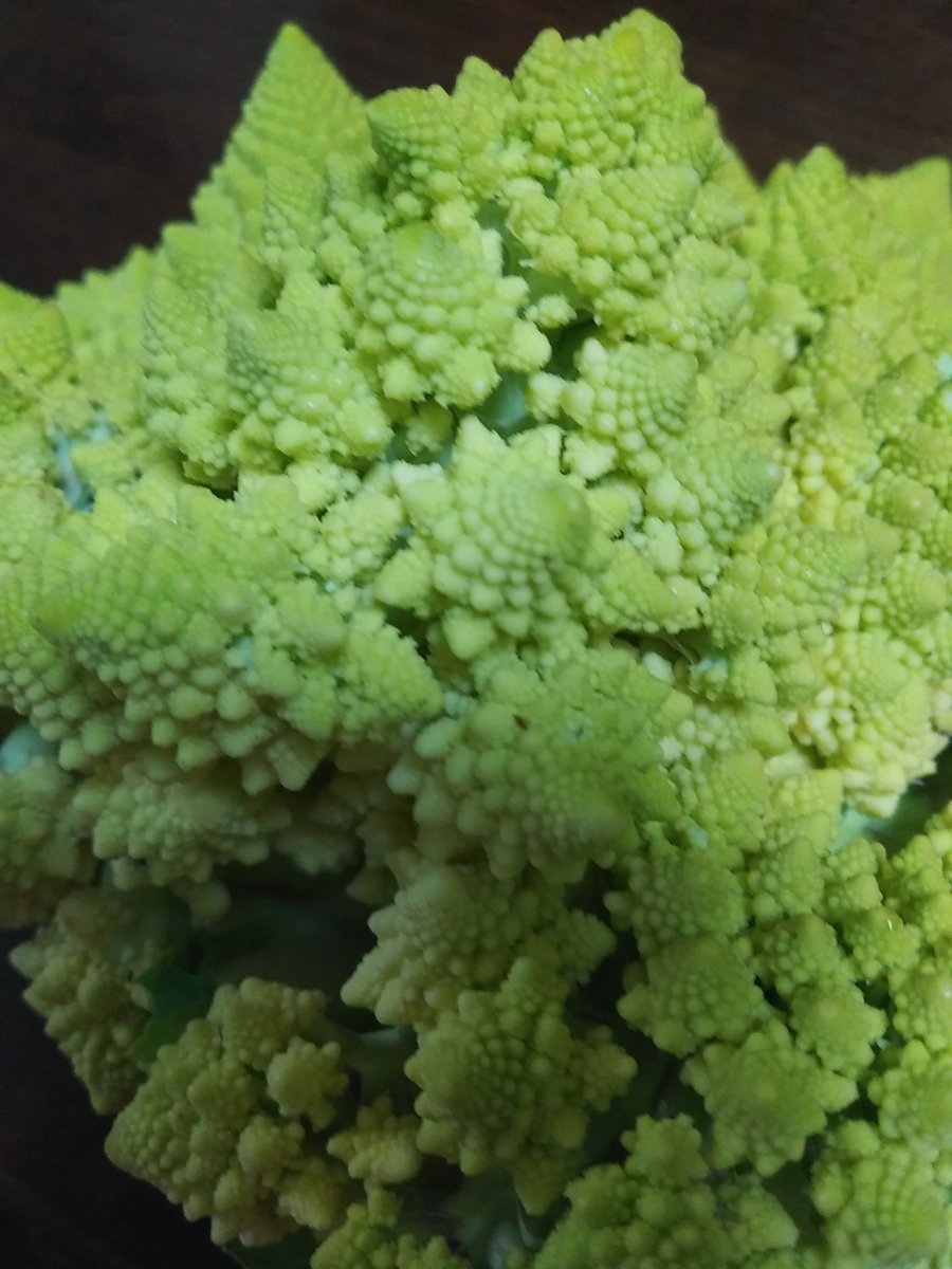 カリブロ بحث في تويتر