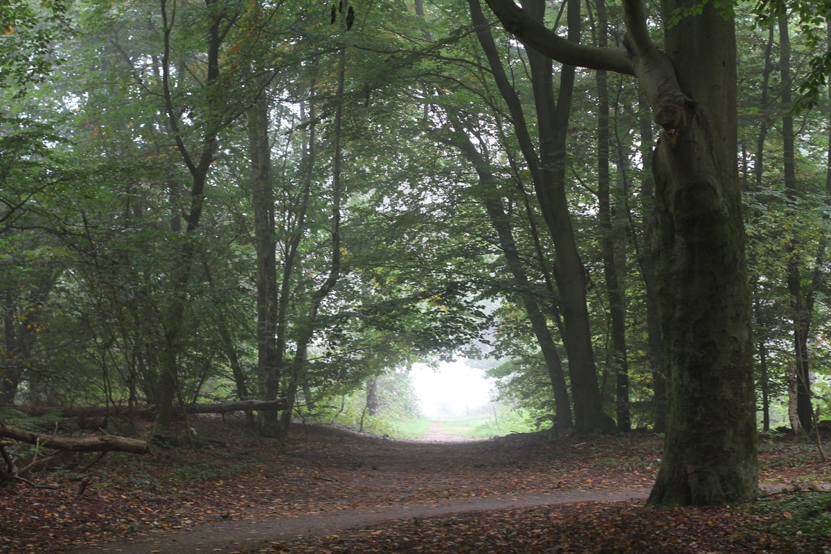 Mastercard wil 100 miljoen bomen planten

#creditcard #duurzaamheid #PPC

creditcard-vergelijk.nl/creditcard-nie…