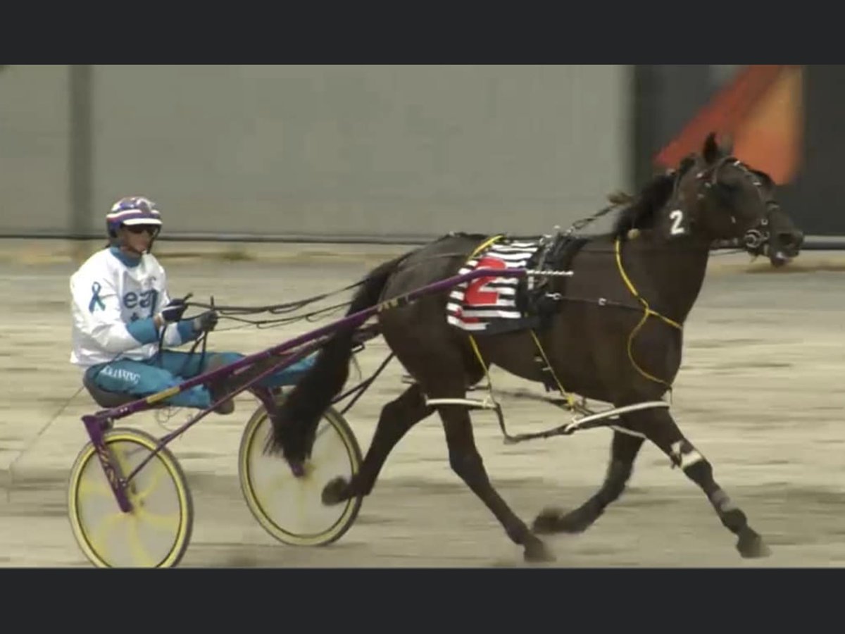 Winning for a great cause always feels good!!
#teamteal#fiftyshadesofhay