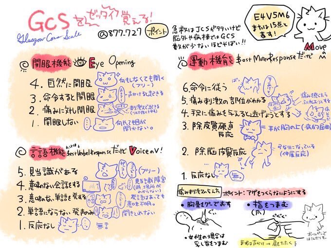看護師のかげさん イラスト看護帖書籍化 On Twitter 意識レベル Gcsはイギリスでできた世界的なスケール Jcs は日本でできてgcsよりも簡易的 Jcsは救急 Gcsは救命後の意識確認や脳神経分野での評価 病棟ではgcsを使うことが多い 国試では両方出るぞ どっちも