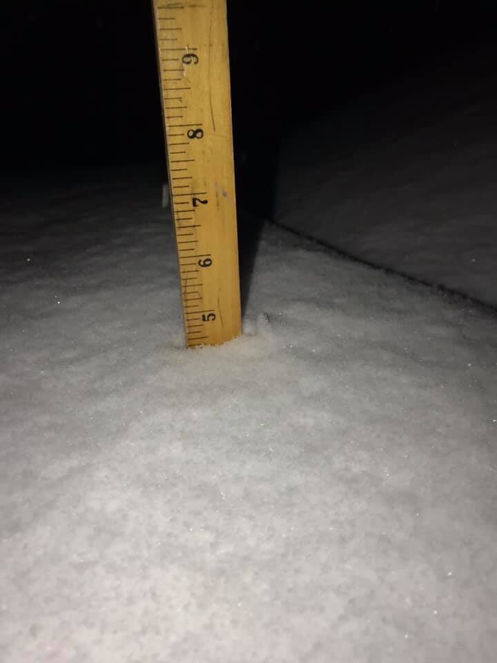 Ben Noll tweet media