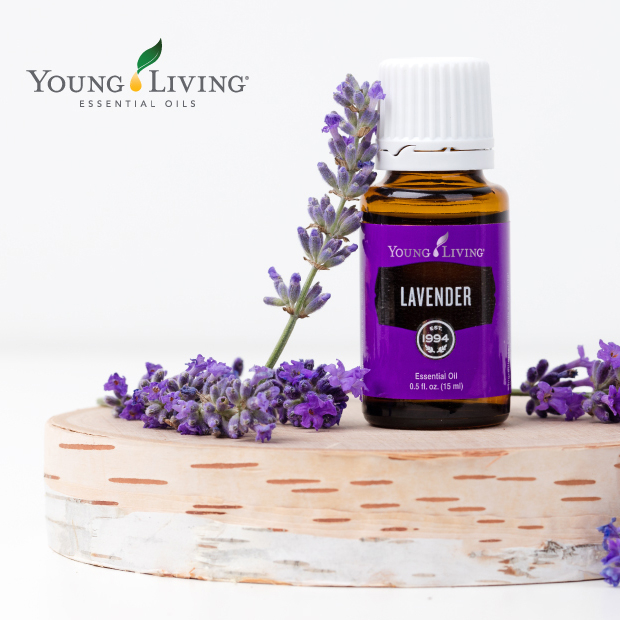 Young Living Essential Oils - Europe on X: Find your happy place with  soothing Lavender 💜 #younglivingeurope #essentialoils #lavender    / X