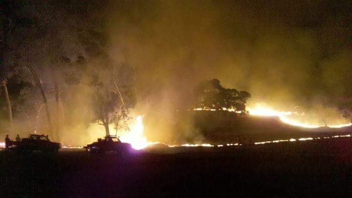 LauraHillsLamb's tweet photo. 6 years ago tonight we, and our neighbours, decided to backburn large parts of our farms to make a defendable containment line. Thanks again to the 200 or so farmers in utes and the CFS units that helped make it happen. #bangore #safires https://t.co/aZozlwhfYQ