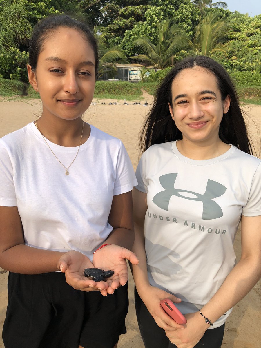 JCD_Geography's tweet photo. Magical moments in Sri Lanka releasing baby sea turtles 🐢 - fun fact sea turtles can live for up to 100 years old! #JCDcommunity #JCDhappiness #JCDwonder #JCDSriLanka20 https://t.co/SUtktfj6CR