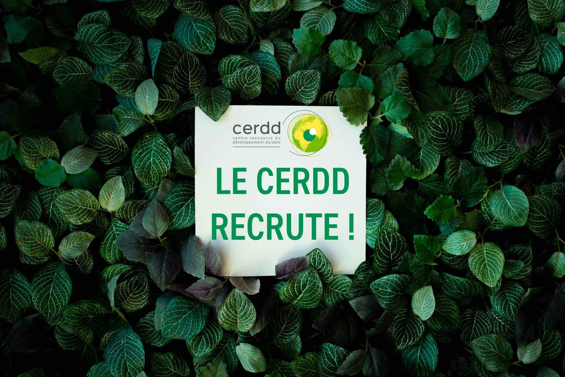 Le #CERDD recherche son Coordinateur.rice de l' #ObservatoireClimat. #Climat #emploi #transitionenergetique N'attendez plus pour postuler !➡️ echosciences-hauts-de-france.fr/annonces/offre…