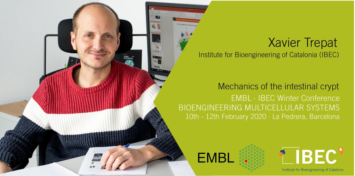 IBECBarcelona's tweet photo. IBEC researcher @XavierTrepat will talk today 12:30h at #EIWC20 about 'Mechanics of the intestinal crypt'.
Stay tuned for one of our best experts in #mechanobiology and @icreacommunity Research Professor.
#SciComm #Bioengineering #Barcelona #IBECexperts. https://t.co/F6MSuJ6u0K