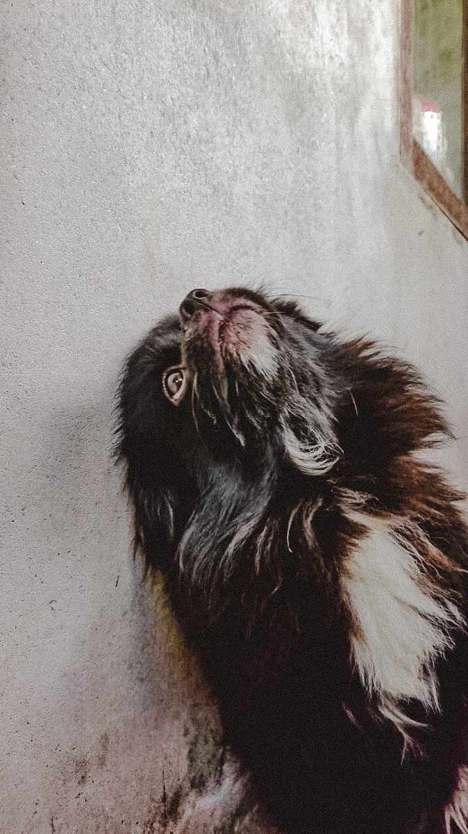 felicilling's tweet photo. When you realize it’s Monday https://t.co/rDuCwCI8Qd
